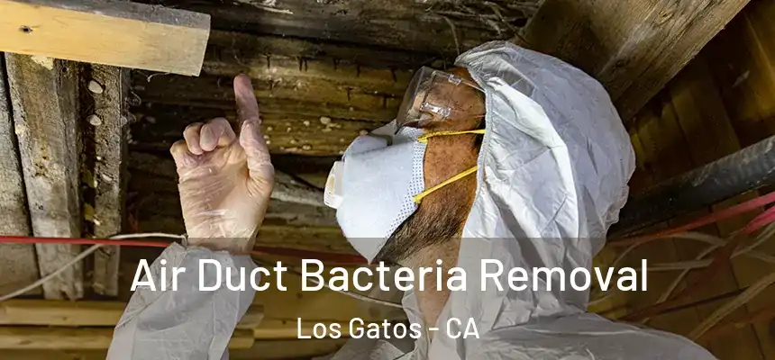  Air Duct Bacteria Removal Los Gatos - CA