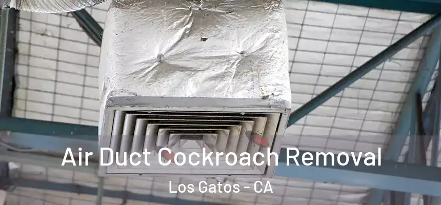 Air Duct Cockroach Removal Los Gatos - CA