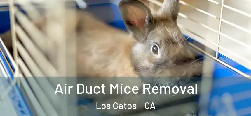  Air Duct Mice Removal Los Gatos - CA