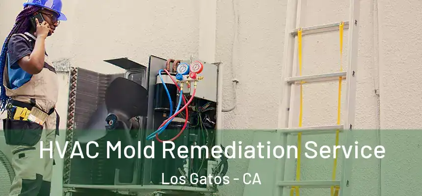  HVAC Mold Remediation Service Los Gatos - CA