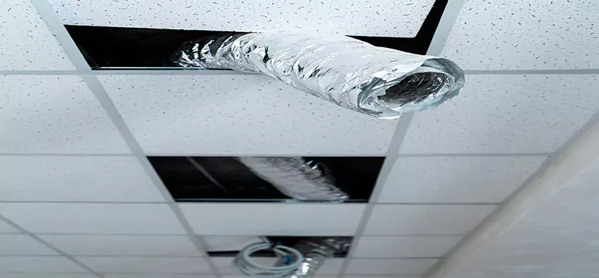 Our Air Duct Pet Hair Removal Services in Los Gatos, CA