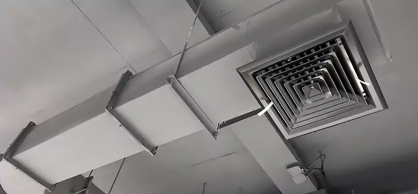 Our Pest Removal From Ducts Services in Los Gatos, CA