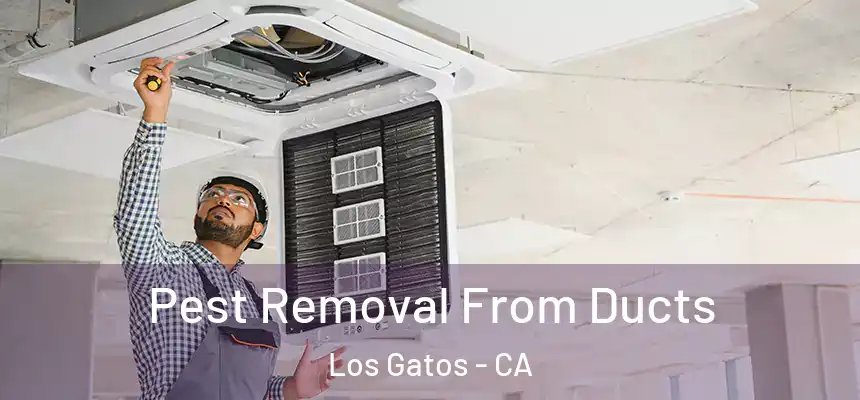 Pest Removal From Ducts Los Gatos - CA