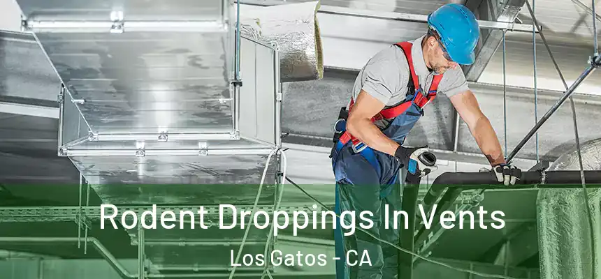  Rodent Droppings In Vents Los Gatos - CA