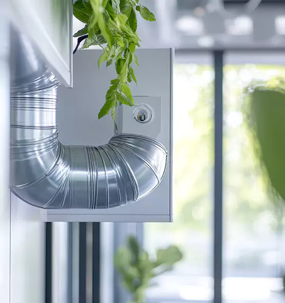 Professional Eco-Friendly Duct Cleaning Services in Los Gatos, CA