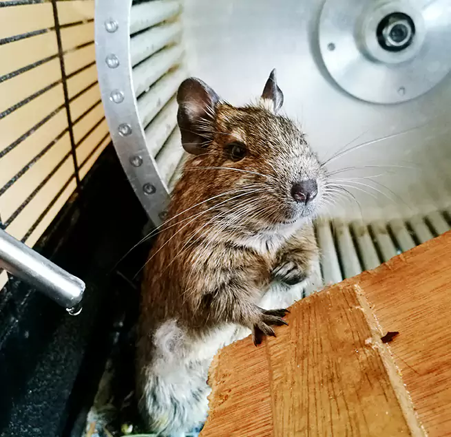 Why Homeowners & Businesses Trust Us Los Gatos, CA