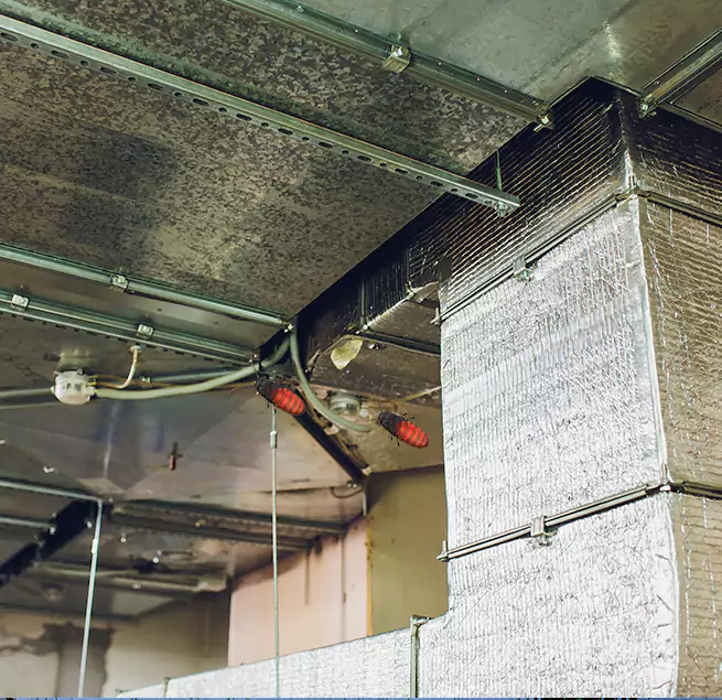 Why Homeowners & Businesses Trust Us Los Gatos, CA?